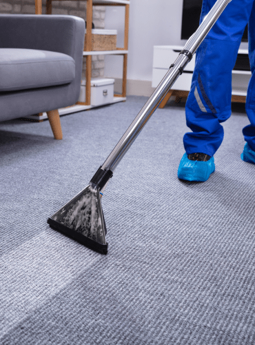 carpet cleaning