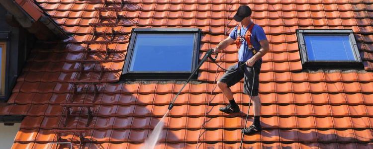 roof cleaning